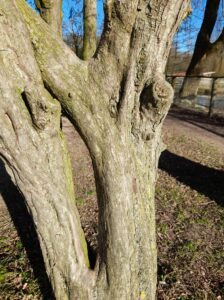 Die Kunst der „feinstofflichen Wahrnehmung“